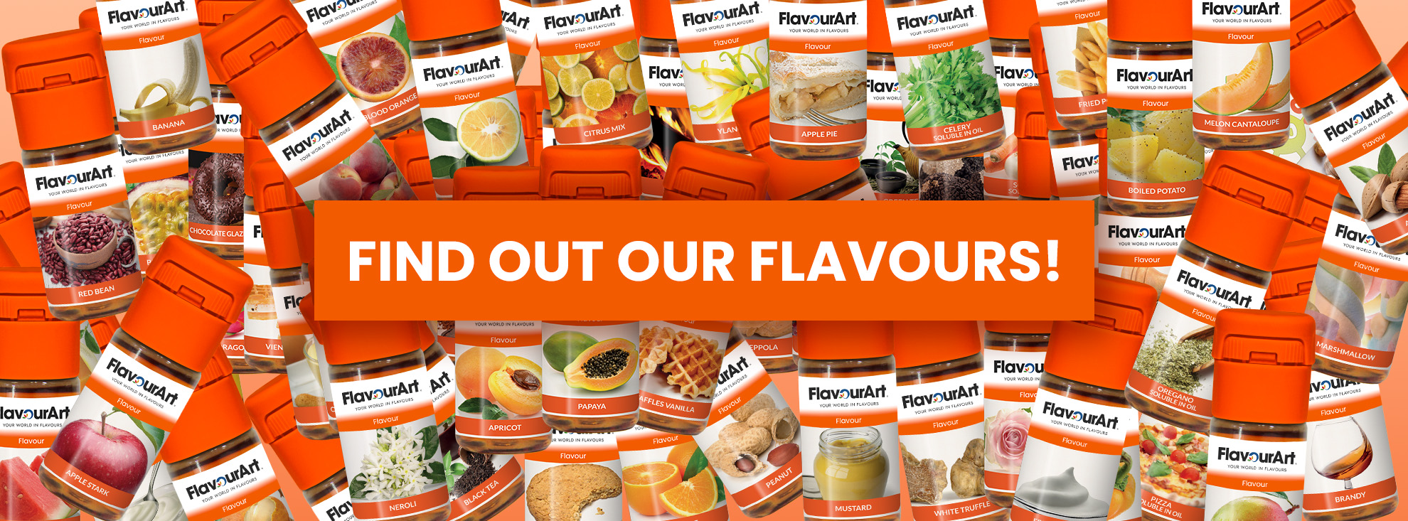 Find out our flavours